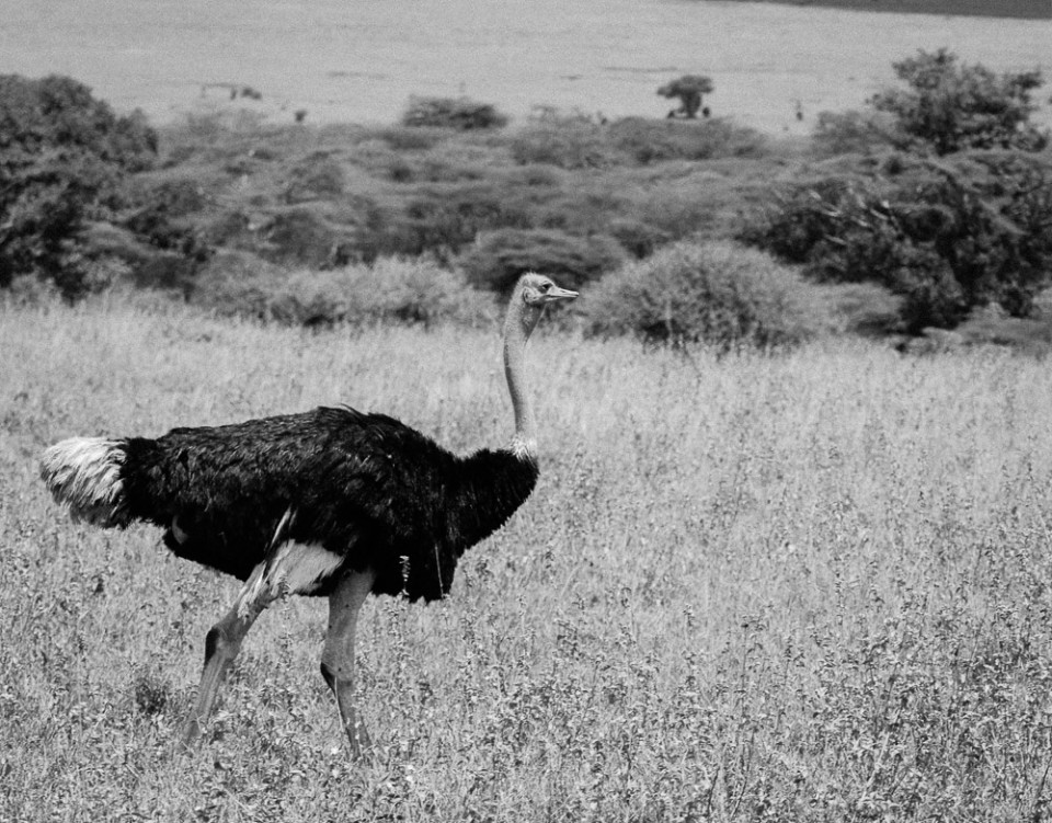 ChildrenOfMathareExhibitionImage (30 of 40)