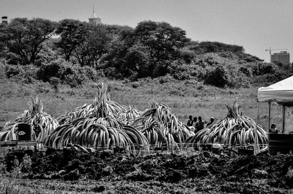 ChildrenOfMathareExhibitionImage (37 of 40)