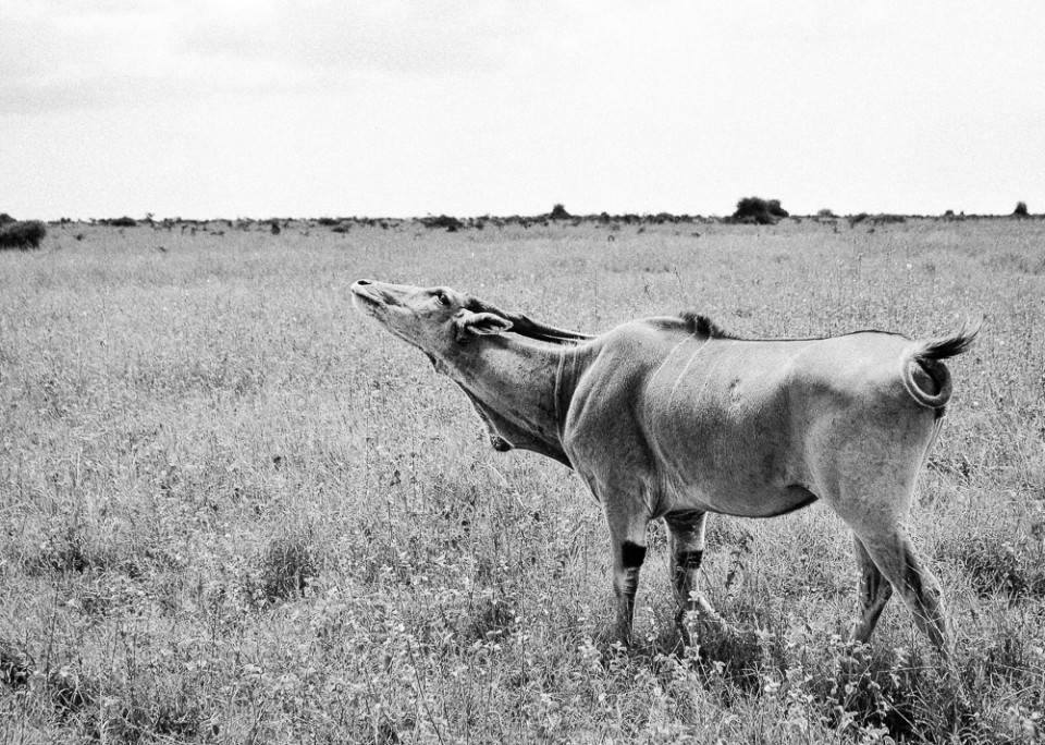 ChildrenOfMathareExhibitionImage (40 of 40)